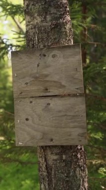 Finlandiya 'da bir ormanda ahşap boş tabelasına yakın