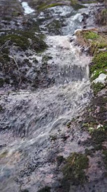 Baharda Finlandiya ormanlarında kayaların üzerinden akan akarsu..