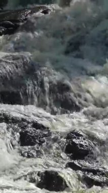 Hızlı akan akıntılar, yaklaşın. İlkbaharda Finlandiya 'daki Leivonmki Milli Parkı.