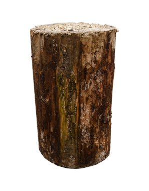 Ahşap doğrama bloğu, yakacak odun kesmek için platform olarak kullanılıyor. Kırpma yolu ile beyaz arkaplanda izole.