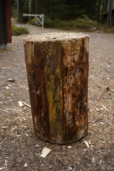 Doğada ahşap kesme bloğu, yakacak odun kesmek için platform olarak kullanılıyor..