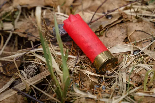 Kırmızı av tüfeği mermisi orman zemininde dinleniyor.