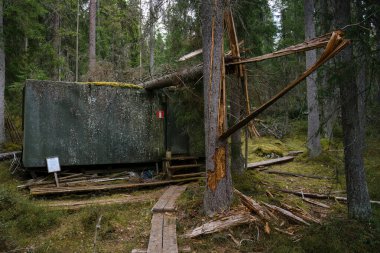Eski ormandaki devrilmiş ağacın altındaki beton sığınak. Kotiset Doğa Koruma Alanı Evo Finlandiya
