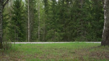 Finlandiya 'da kırsal bir yolun yan görüntüsü, oradan geçen bir karavanda çekilen araba.