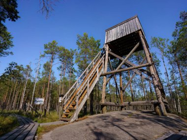 Orimattila, Finlandiya - 1 Haziran 2025 - Finlandiya doğasında kuş izleme kulesi Kairessuo-Mieliaissuo bölgesi