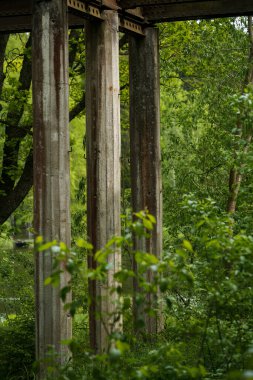 Eski bir köprünün çürüyen beton sütunları çölde yeşilliklerle çevrili.