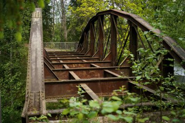 Aşırı gelişmiş orman manzarasının ortasında paslı metal köprü