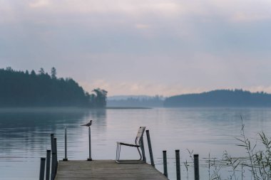 Şafak vakti Finlandiya göl manzarasında yalnız bir sandalye ve bir kuşla sessiz rıhtım.