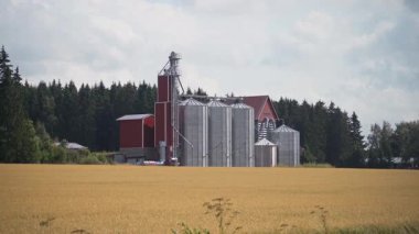 Finlandiya 'da sarı alanda tahıl ambarları ve sanayi binaları