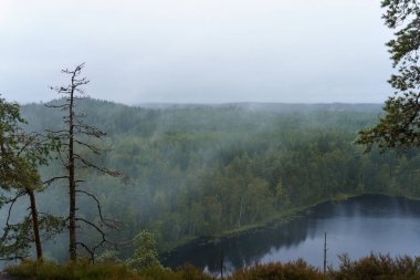 View of a misty forest and lake from the top of Olhava Mountain in Repovesi National Park, Kouvola, Finland.