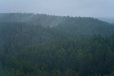 View of a misty forest from the top of Olhava Mountain in Repovesi National Park, Kouvola, Finland.
