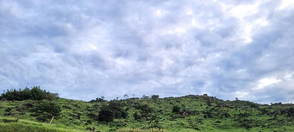 Образ Гір Центральній Частині Бразилії Оточений Лісами Будинками — стокове фото