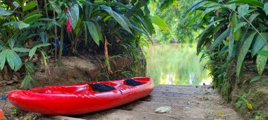 Brezilya 'da tropikal bir ormanda, doğanın ve bir sürü yeşilliğin ortasında kırmızı kano.