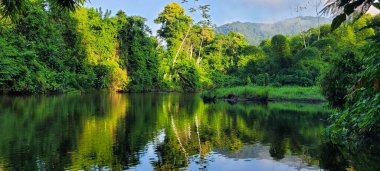 Sakin suları olan tropikal orman ve dağların ortasındaki nehir görüntüsü