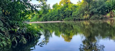 Sakin suları olan tropikal orman ve dağların ortasındaki nehir görüntüsü