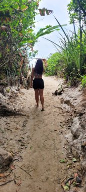 Brezilya sahilinde güneşli bir sahil manzarası. 