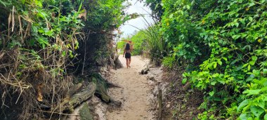 Brezilya sahilinde güneşli bir sahil manzarası. 