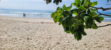 Güneşli bir günde kumsalın beyaz kumlu ve sakin denizi sahile vuran yüzücüler ve sörfçülerle.