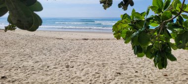 Güneşli bir günde kumsalın beyaz kumlu ve sakin denizi sahile vuran yüzücüler ve sörfçülerle.