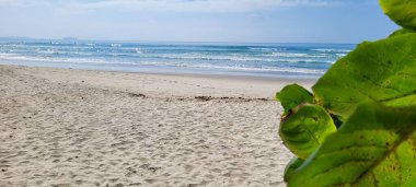 Güneşli bir günde kumsalın beyaz kumlu ve sakin denizi sahile vuran yüzücüler ve sörfçülerle.