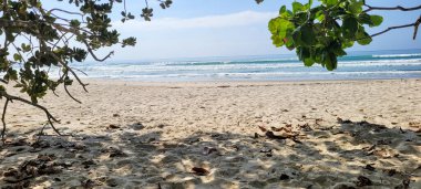 Güneşli bir günde kumsalın beyaz kumlu ve sakin denizi sahile vuran yüzücüler ve sörfçülerle.