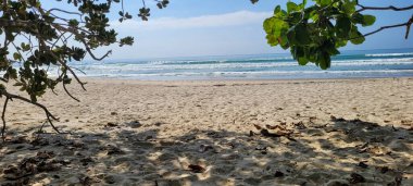 Güneşli bir günde kumsalın beyaz kumlu ve sakin denizi sahile vuran yüzücüler ve sörfçülerle.