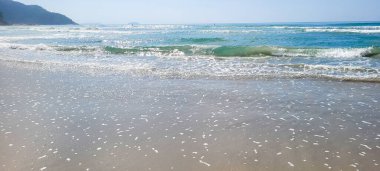 Brezilya 'nın kuzey kıyısındaki ubatuba itamambuca plajındaki deniz dalgalarının görüntüsü.