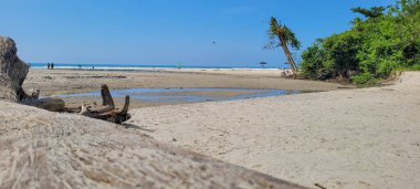 Brezilya 'nın kuzey kıyısındaki ubatuba itamambuca plajındaki deniz dalgalarının görüntüsü.