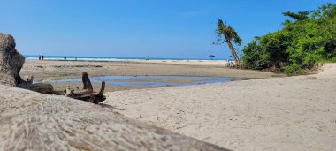 Brezilya 'nın kuzey kıyısındaki ubatuba itamambuca plajındaki deniz dalgalarının görüntüsü.