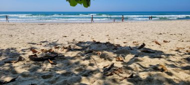 Brezilya 'nın kuzey kıyısındaki ubatuba itamambuca plajındaki deniz dalgalarının görüntüsü.