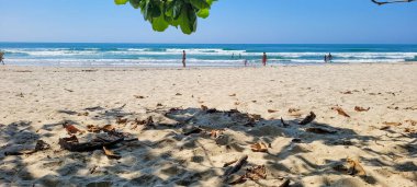 Brezilya 'nın kuzey kıyısındaki ubatuba itamambuca plajındaki deniz dalgalarının görüntüsü.