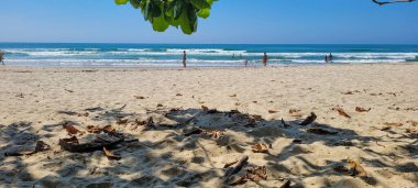 Brezilya 'nın kuzey kıyısındaki ubatuba itamambuca plajındaki deniz dalgalarının görüntüsü.