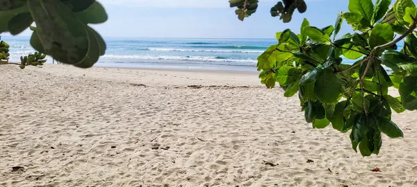 Güneşli bir günde kumsalın beyaz kumlu ve sakin denizi sahile vuran yüzücüler ve sörfçülerle.