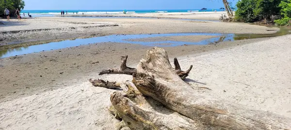 Brezilya 'nın kuzey kıyısındaki ubatuba itamambuca plajındaki deniz dalgalarının görüntüsü.