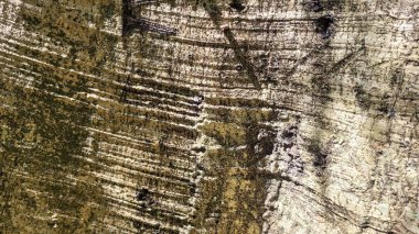 Detaylı siyah, kırsal doku arkaplanı