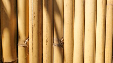 Kırsal bambu hafif ahşap doku