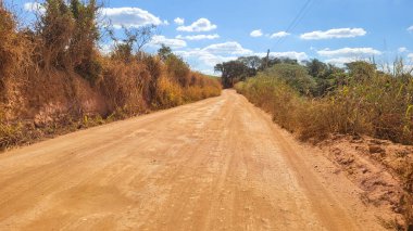 Brezilya 'da güneşli bir günde toprak yolda okaliptüs çiftliği.