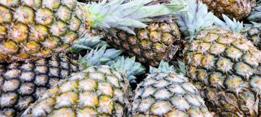 adil, Brezilya olgun tropikal ananaslar