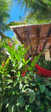 Tropikal bitkilerle dolu kırmızı hamaklı tropikal bir ev.