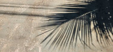 industrial rustic dark background black texture in brazil