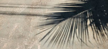 industrial rustic dark background black texture in brazil