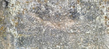 dark background with rustic texture