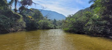 Itamambuca sahilindeki Ubatuba sahilindeki temiz su nehri.