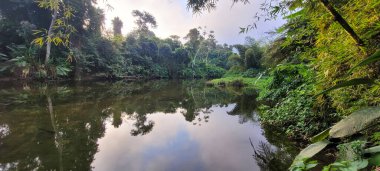 Itamambuca sahilindeki Ubatuba sahilindeki temiz su nehri.