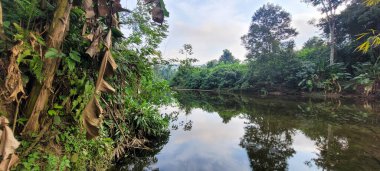 Itamambuca sahilindeki Ubatuba sahilindeki temiz su nehri.