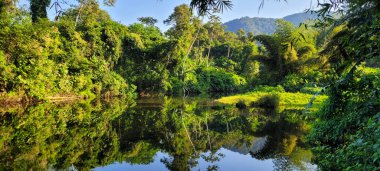 Itamambuca sahilindeki Ubatuba sahilindeki temiz su nehri.
