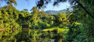 Itamambuca sahilindeki Ubatuba sahilindeki temiz su nehri.