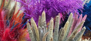 Kurumuş renkli çiçekler bukette birlikte.