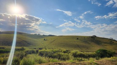 Brezilya 'da güneşli bir günde toprak yolda okaliptüs çiftliği.