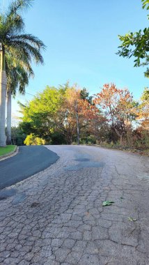 Güzel doğa manzaralı ve gölü olan bir yol.